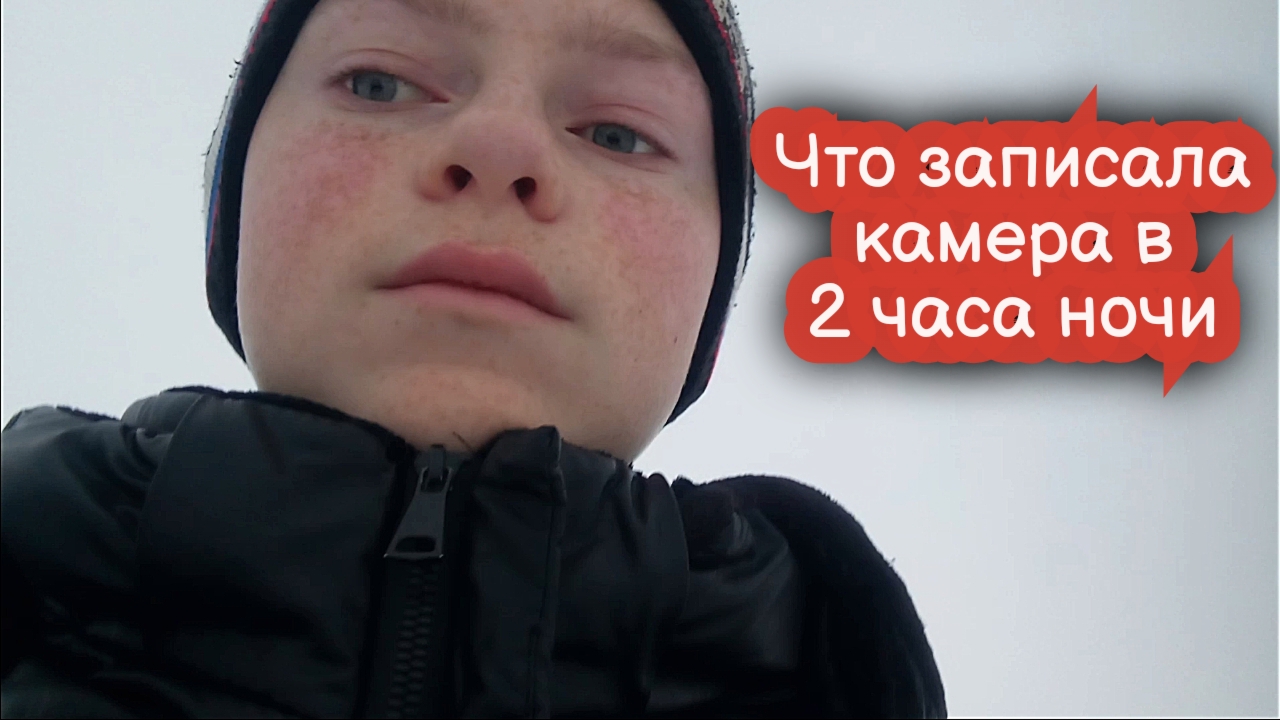 VLOG Кто-то из животных прибежал ночью во двор