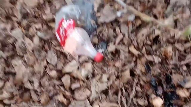 Две обезьяны поджигают джунгли