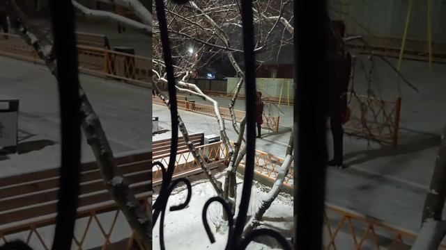 Рокси наблюдает за Снегом в Астане! #shorts #short #shortvideo #shortsvideo
