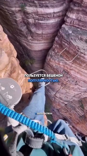 А вы знали