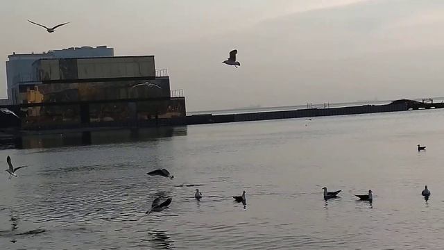 @Владивосток 2022