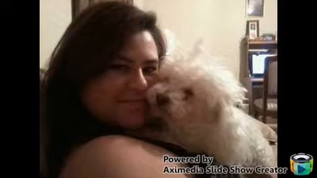Last goodbye to my friend. R.I.P. Pili (1998-2014)