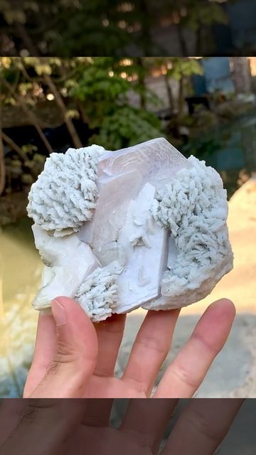 Rare Pink Lepidolite Mica Crystal Cluster on Cleavelandite from Pakistan #crystals #minerals