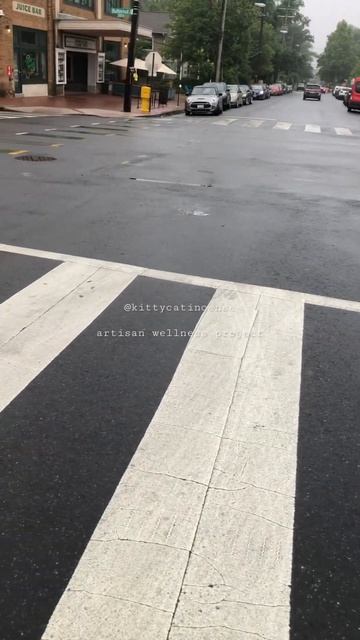 coffee run in the rain: part three - arriving - a pug walks by checks me out #bikeride #videovlog