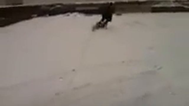 еб@нутый крик разложился под песню, Слава марлоу быстро