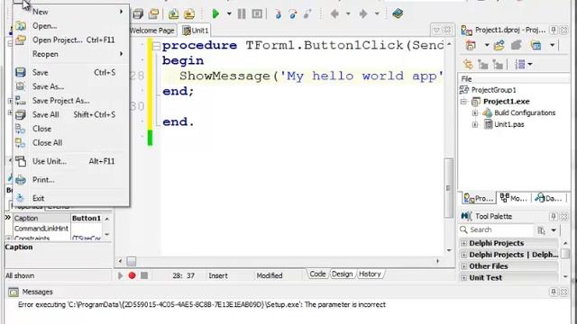 Creating your First Delphi 2010 Application [SA Delphi IT Schools]