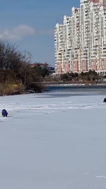 Краснодарцев просят не ходить по льду. Лед очень тонкий и хрупкий.