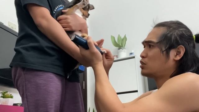Cutting dog’s nails made easy