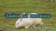 Песенка-потешка про зайцев. Детская песенка про зайчиков. Народная потешка. .