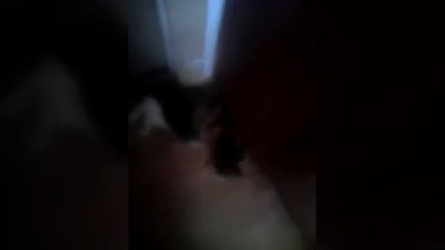 Знакомства с черепахой и рыбкой