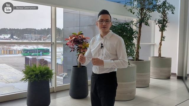 С Днём защитника Отечества!