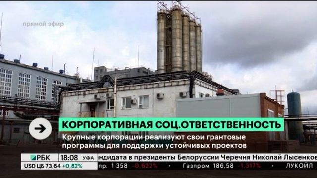 Крупные корпорации реализуют свои грантовые программы для поддержки устойчивых проектов