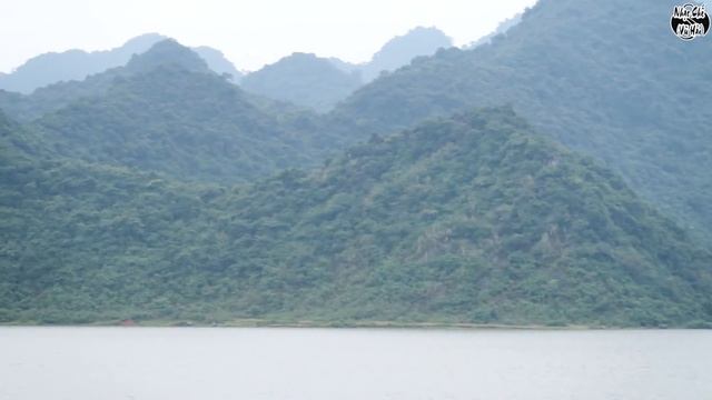 [Nhạc chế] ĐAU ĐẦU VÌ TIỀN - Vũ Hải