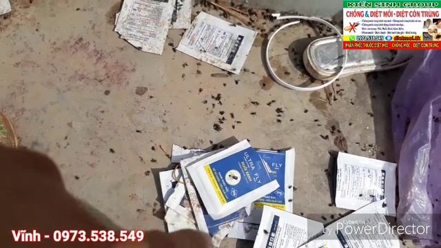 Diệt Ruồi Cho Bãi Rác với AGITA 10WG | Hoạt Chất THIAMETHAXONE