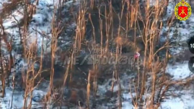 Освобождение н.п. Белогоровка