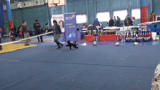 Иркутск Моно 16.04.2016 АРИАДНА ПУТЕВОДНАЯ ЗВЕЗДА