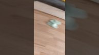 1000000965.mp4