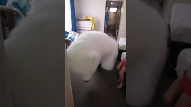 1000011559.mp4