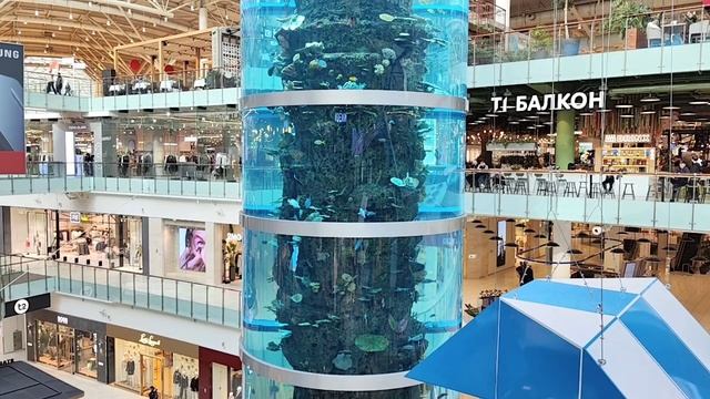 САМЫЙ ВЫСОКИЙ ЦИЛИНДРИЧЕСКИЙ АКВАРИУМ В МОСКВЕ.