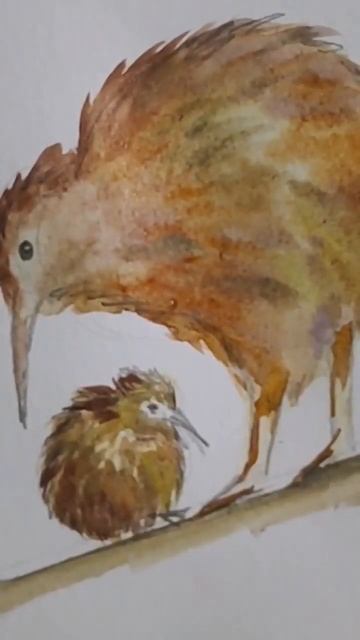 Day 7 : New Zealand's Kiwi @ssavaart #watercolor #art #kiwi #artchallenge #newzealand