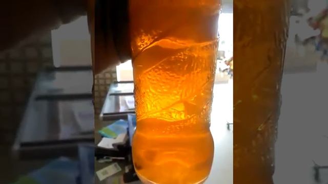 Insect found in mirinda pepsico warning dont drink  this shit