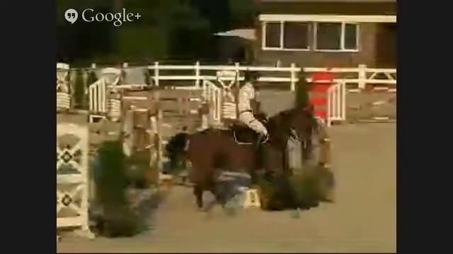 02-03.08.2014 «Butenko Stable Cup» 3 этап 2