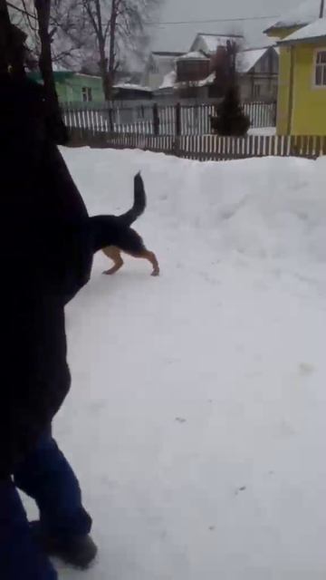 1000000762.mp4