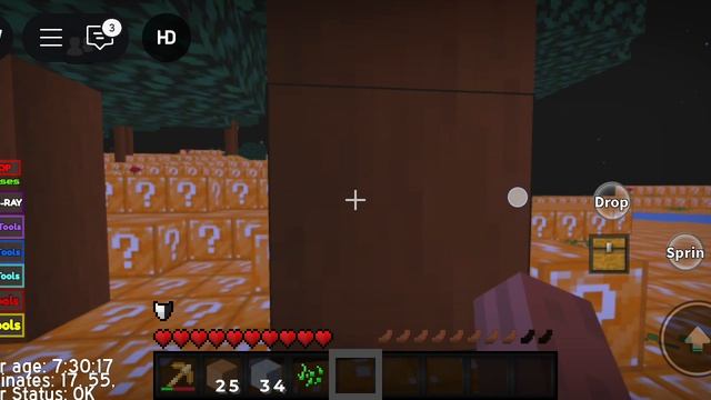 Roblox Minecraft