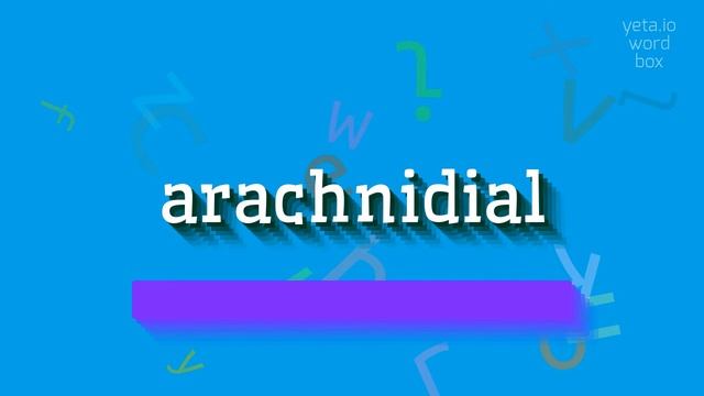 ARACHNIDIAL - HOW TO PRONOUNCE ARACHNIDIAL? #arachnidial