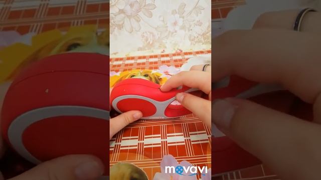 Покупочки для Лулу!😊