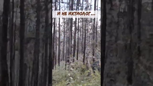 Как изготовить ботаника
