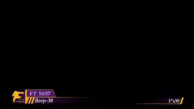 Салют FT 5057 "Веер-30"