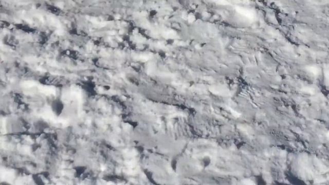 СОБАК - ПАК