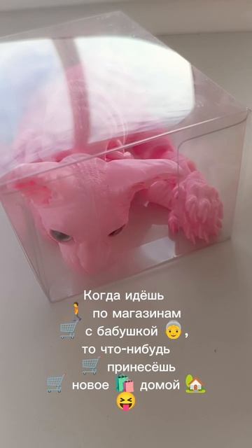 как надо ходить с бабушкой в магазин 😝#магазин #бабушка #подарки #игрушки