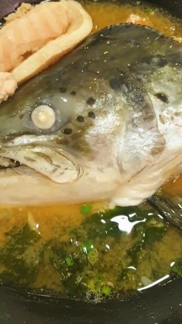 HOT SALMON HEAD SOUP Good Food during COLD and FLU Season #Shorts