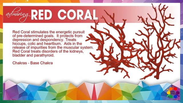 Red Coral  Healing Crystal | Crystals and Stones with Healing Properties