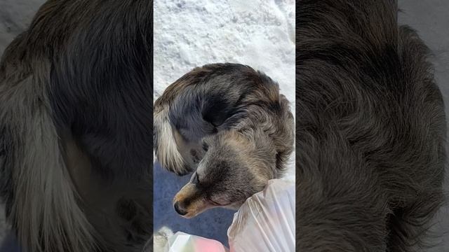 1000001714.mp4