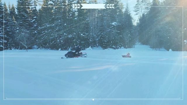 23 февраля 2025