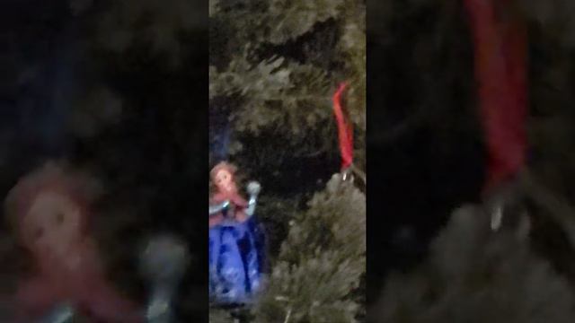 AROY-D Longan In Syrup - OFFICIAL HUGHES REVIEW