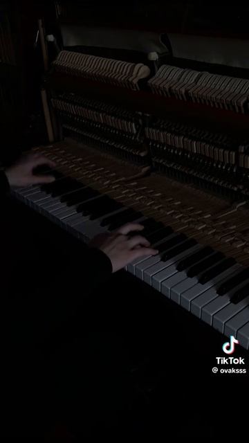 🎶🎵🎶🎵🎶🎵