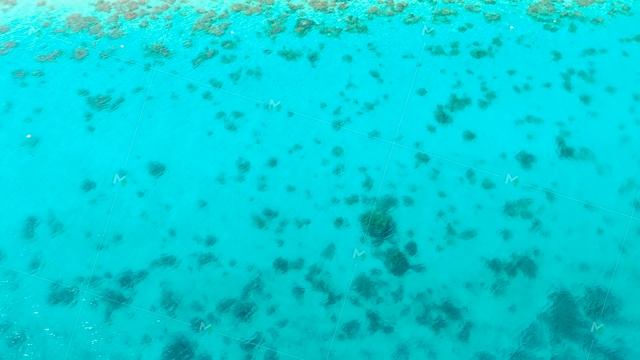 Transparent turquoise sea water, natural background.