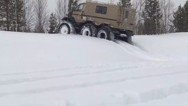 Зырянин-342