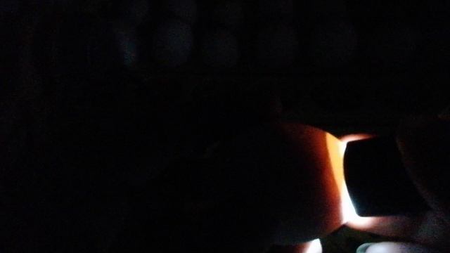 Заглянула последний раз, сколько же будет цыплят?