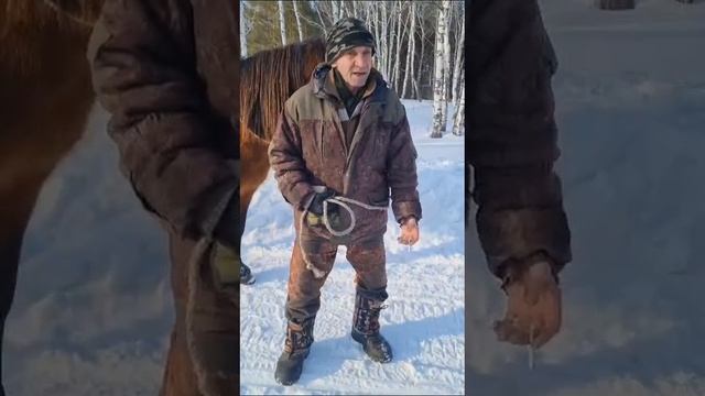 VID-20250219-WA0012
