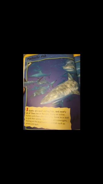 100 Facts About Sharks (into and pages 6-7) #readwithmemommy #sharks