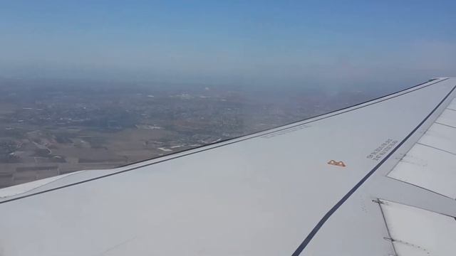Тиса