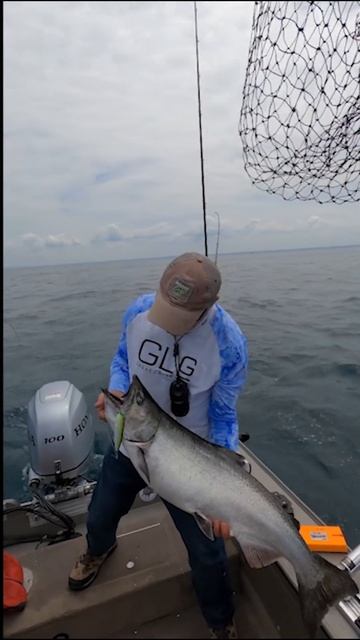 King Salmon Trolling Lake Michigan #shorts #fishing