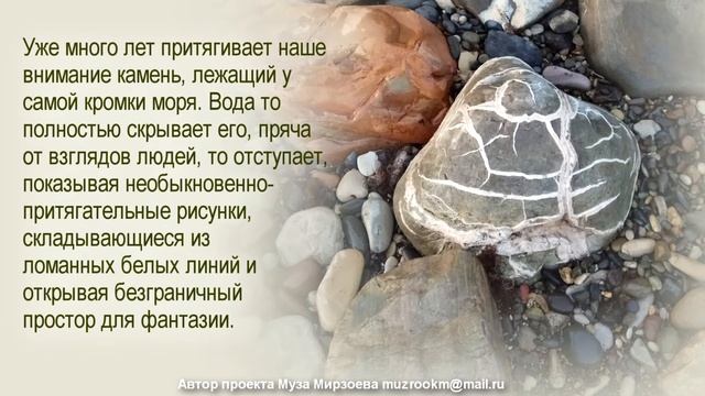 Камни и камешки.  2.  Фантазии.  Удивительное - рядом