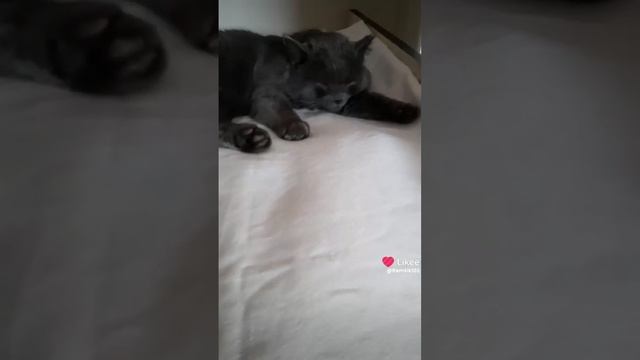 На посту😀