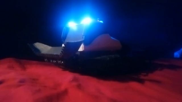 mini bison 1/20